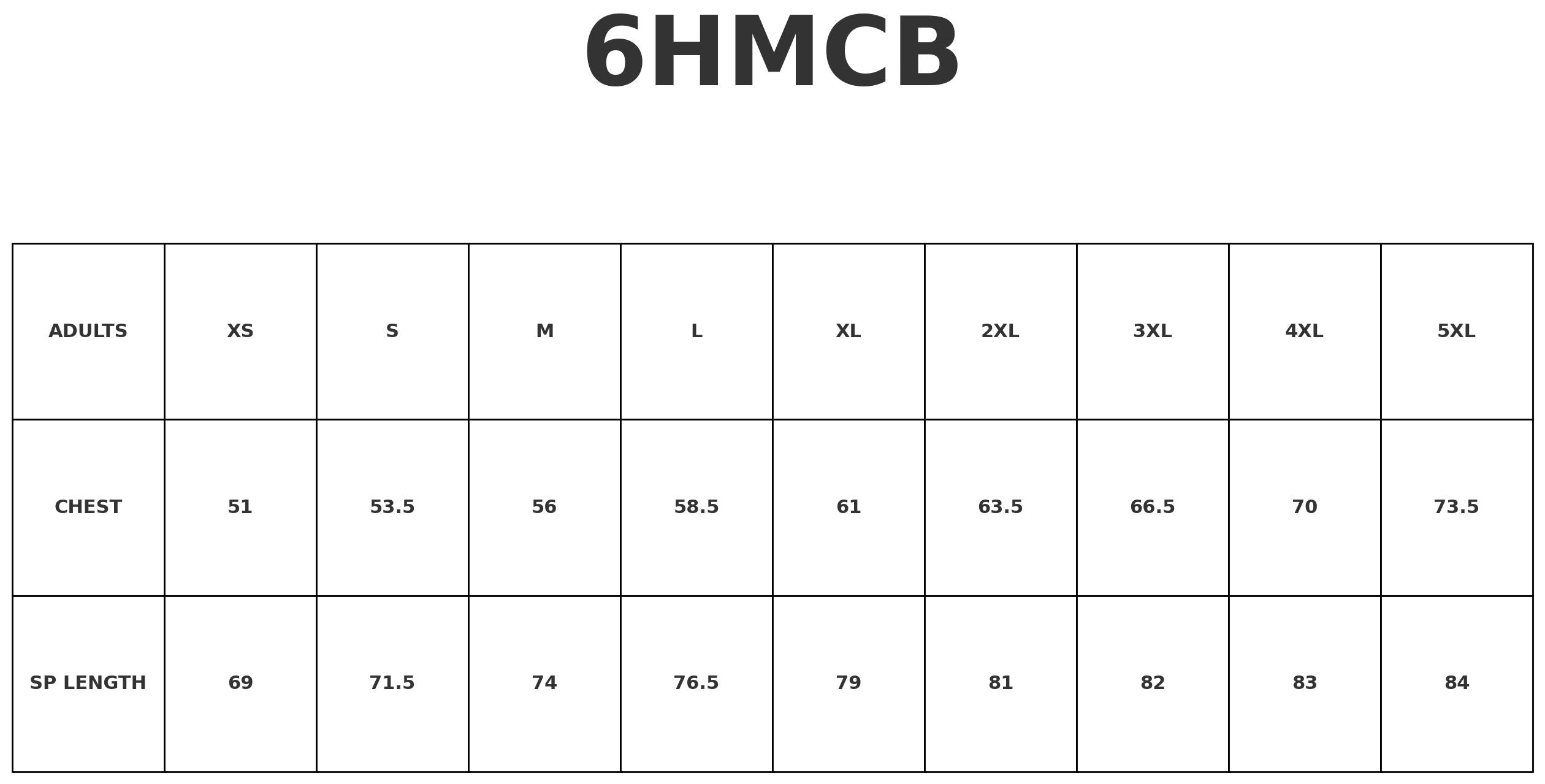 HiVis LS (D+N) Cotton Back Polo size chart